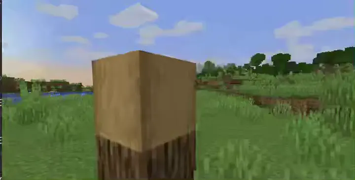 Wooden Roots